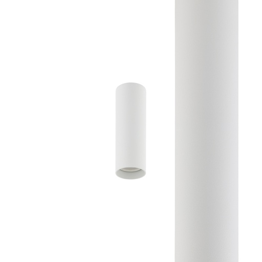 [11214] CAMELEON FOURTY WHITE S