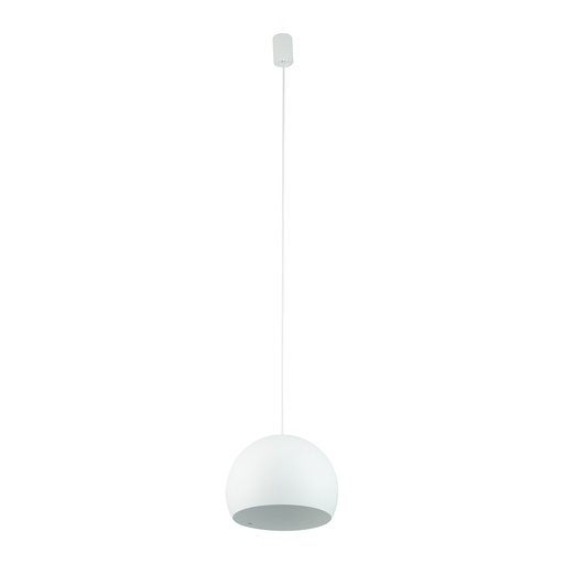 [10335] CANDY I ZWIS WHITE