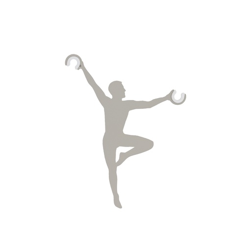 [11796] ACROBAT SILK GRAY