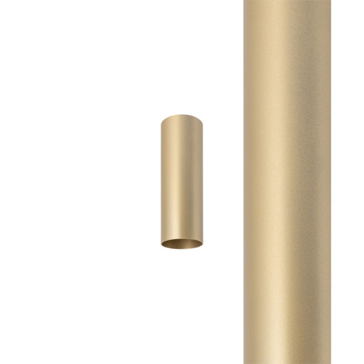 [12146] CAMELEON FOURTY BRUSHED GOLD S