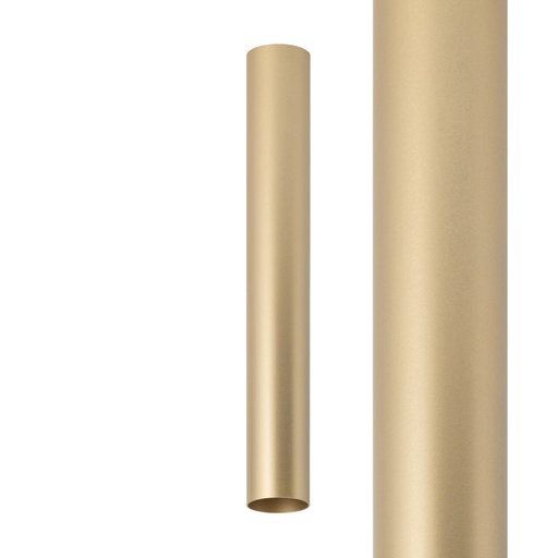 [12142] CAMELEON FOURTY BRUSHED GOLD M