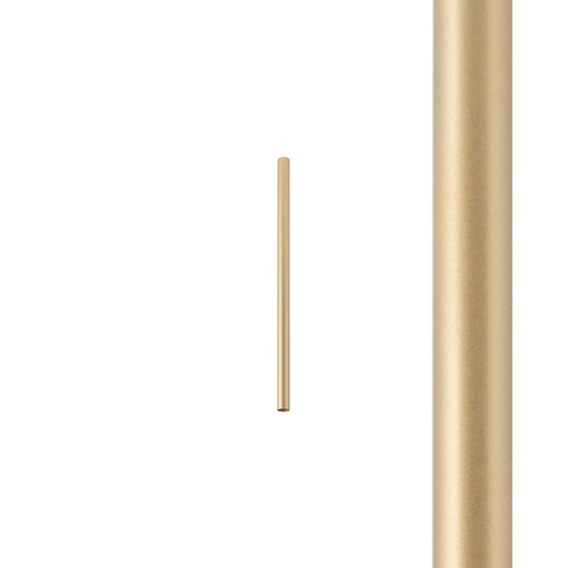 [12132] CAMELEON LASER 490 BRUSHED GOLD