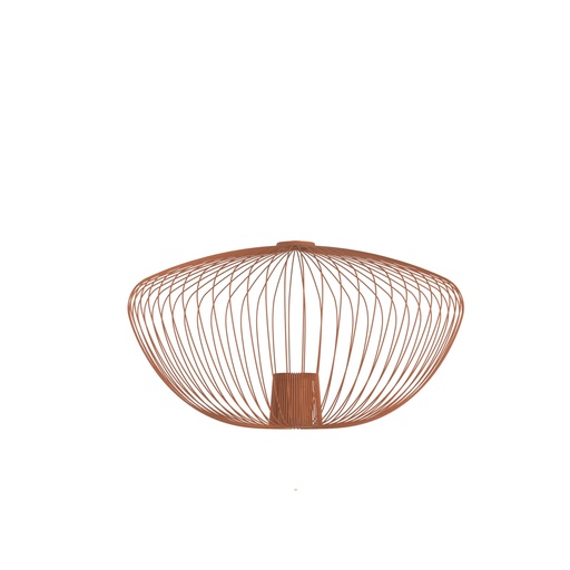 [12038] CAMELEON PUMPKIN M TERRACOTTA