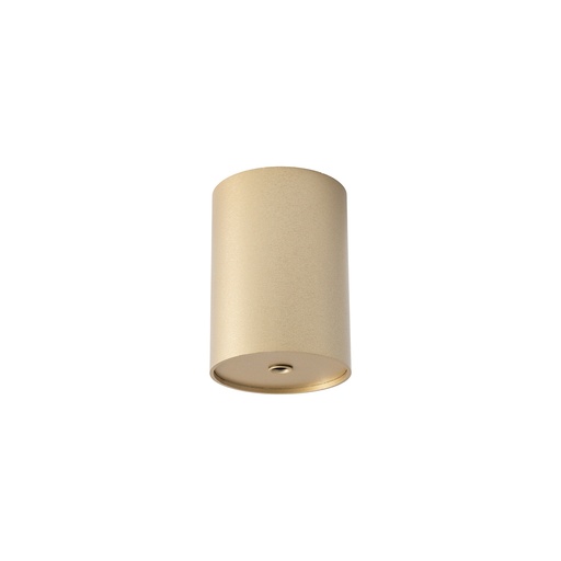 [12120] CAMELEON CANOPY E BRUSHED GOLD