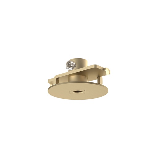[12442] CAMELEON CANOPY F MINI BRUSHED GOLD